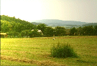 view from the house, stork